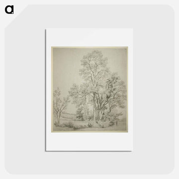 A Stand of Elm Trees; A Study of East Bergholt with the Church
 - ジョン コンスタブル Postcard.