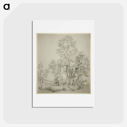 A Stand of Elm Trees; A Study of East Bergholt with the Church
 - ジョン コンスタブル Postcard.