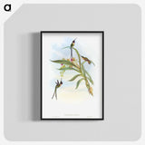 1-57_John-Gould_blk-crop