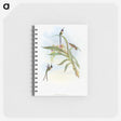 1-57_John-Gould_memo