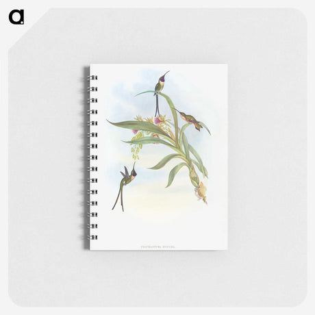 1-57_John-Gould_memo