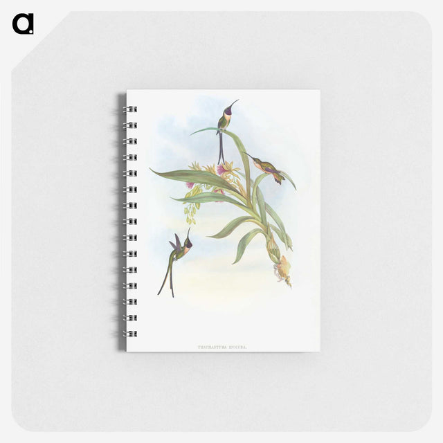 1-57_John-Gould_memo