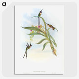 1-57_John-Gould_picture-crop