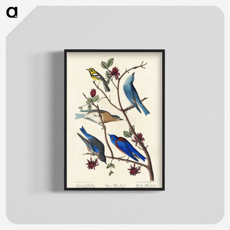 1-57_John-James-Audubon_blk-crop