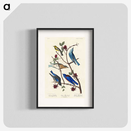 1-57_John-James-Audubon_blk