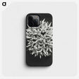 1-57_Karl-Blossfeldt_phone