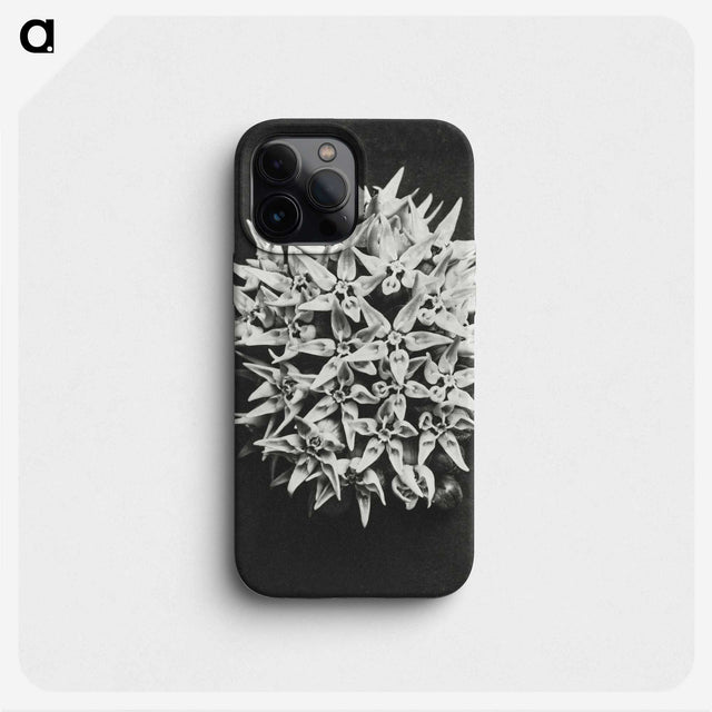 1-57_Karl-Blossfeldt_phone