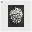 1-57_Karl-Blossfeldt_postcard