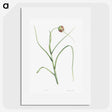 1-57_La-Botanique_picture