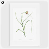 1-57_La-Botanique_picture