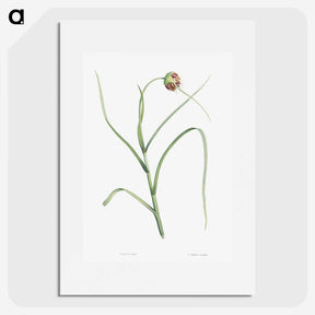 1-57_La-Botanique_picture