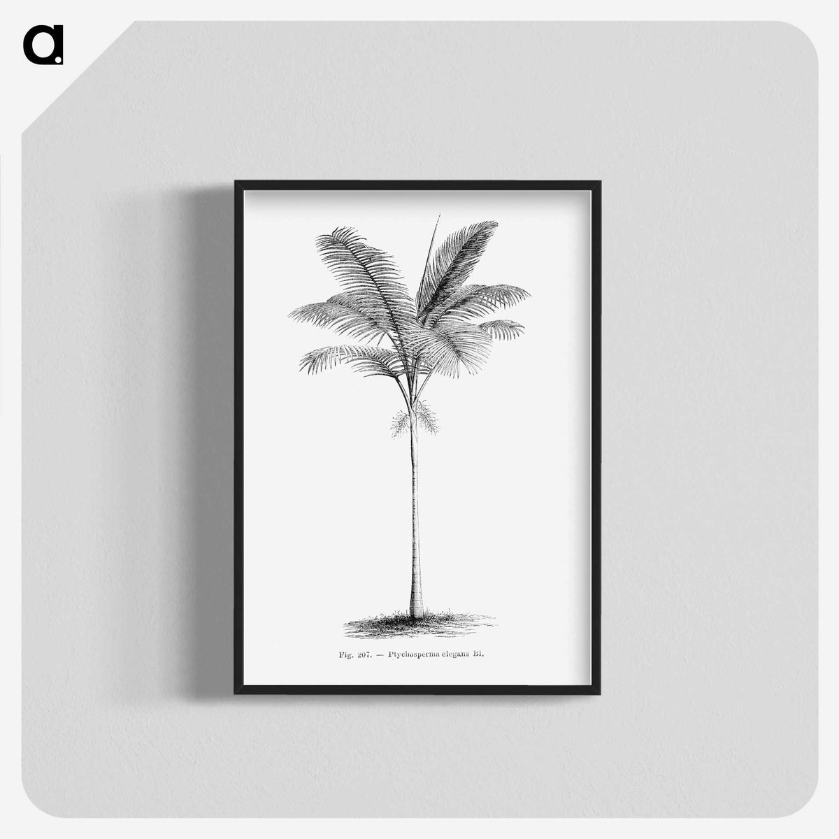 1-57_Les-Palmiers-Histoire-Iconographique_blk-crop