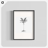 1-57_Les-Palmiers-Histoire-Iconographique_blk