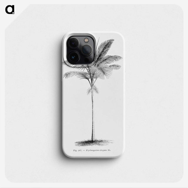 1-57_Les-Palmiers-Histoire-Iconographique_phone