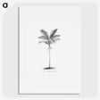 1-57_Les-Palmiers-Histoire-Iconographique_picture