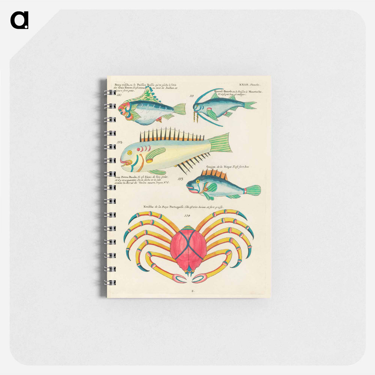 Indian and Pacific Ocean Curiosities
 - ルイ ルナール Memo.