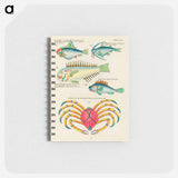 Indian and Pacific Ocean Curiosities
 - ルイ ルナール Memo.