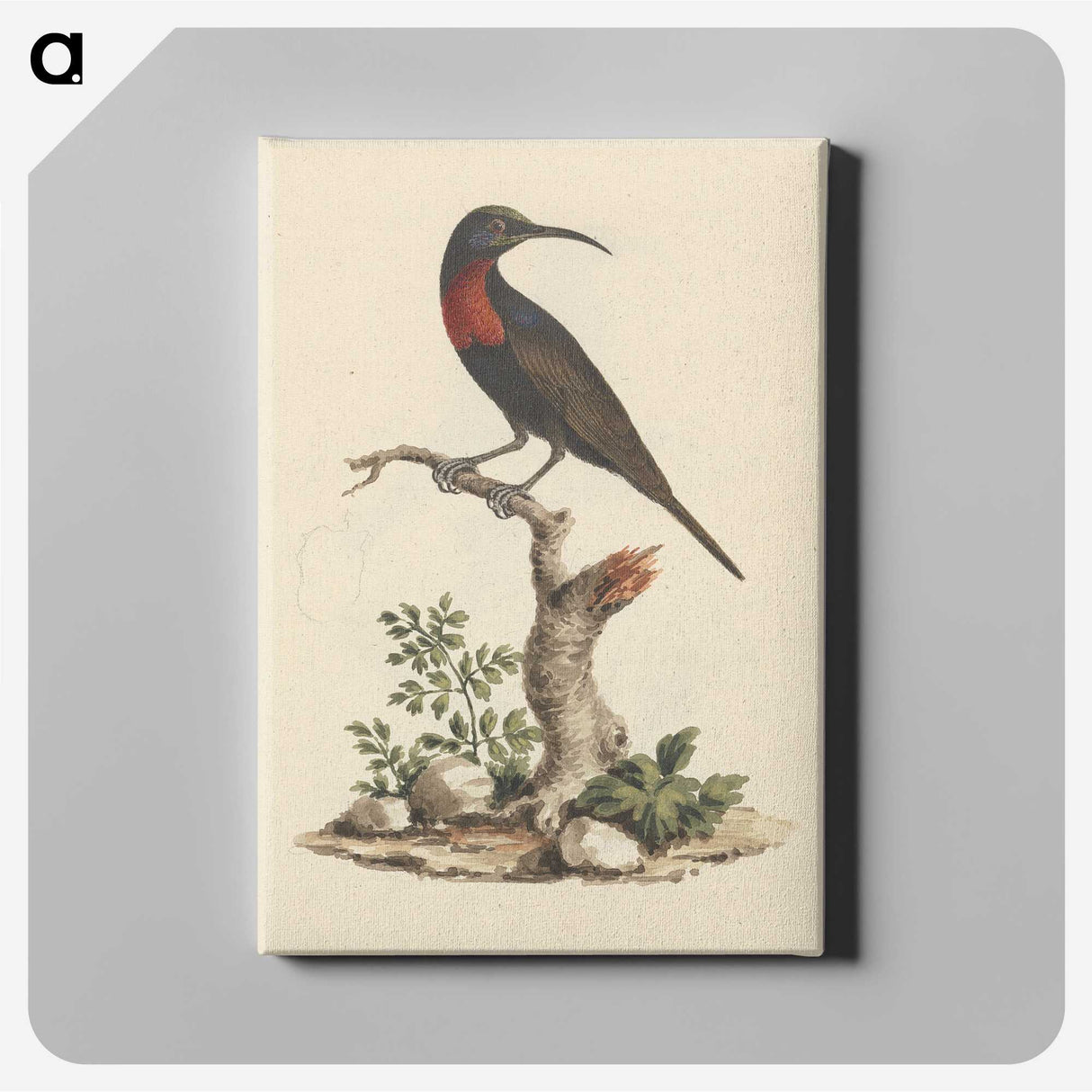 1-57_Luigi-Balugani_canvas
