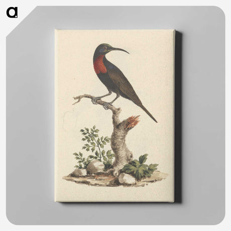 1-57_Luigi-Balugani_canvas