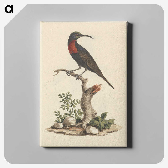 1-57_Luigi-Balugani_canvas