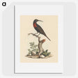 1-57_Luigi-Balugani_picture