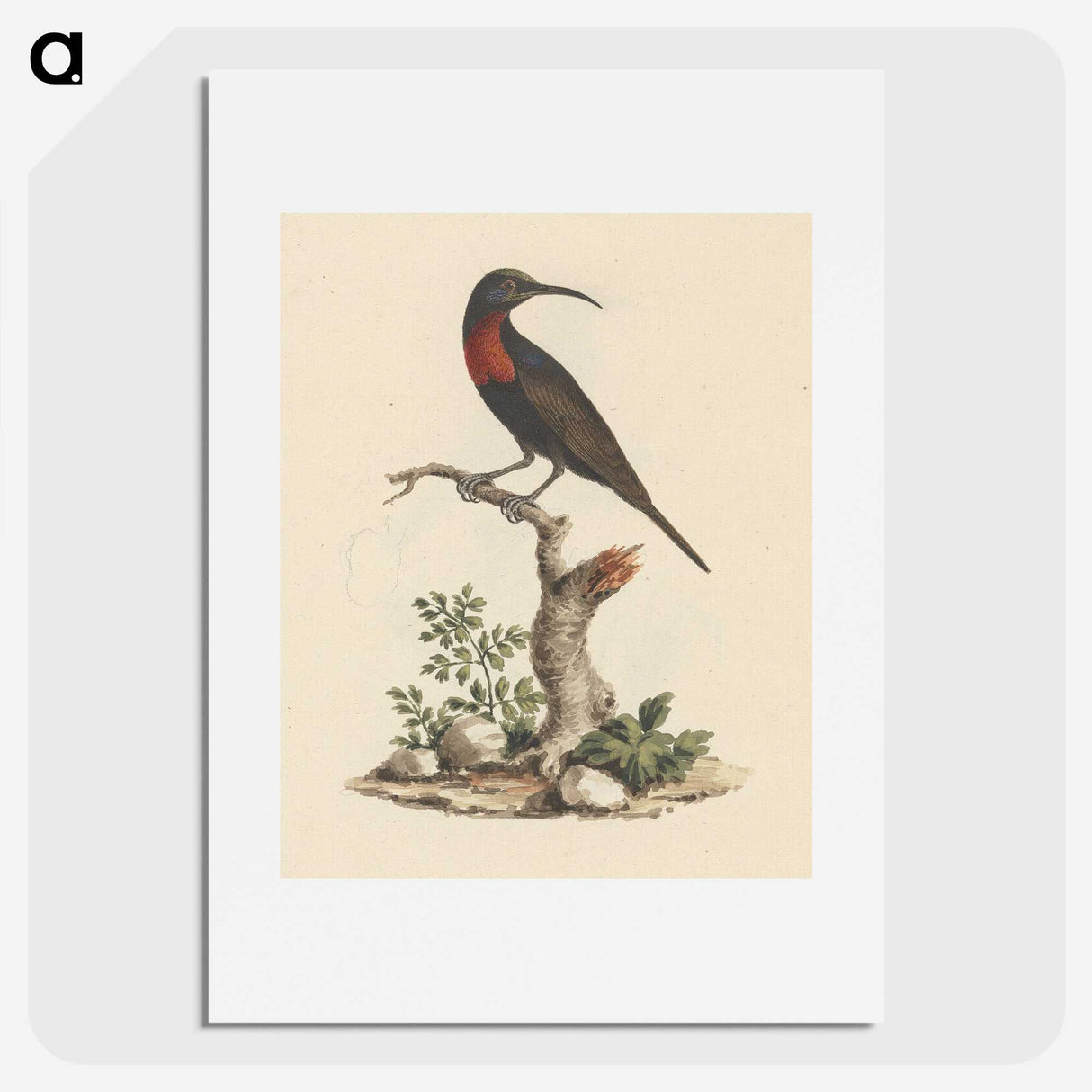 1-57_Luigi-Balugani_picture