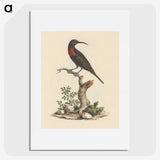 1-57_Luigi-Balugani_picture