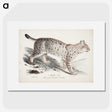 1-57_Magnus-von-Wright_picture