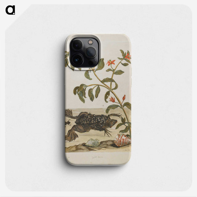 1-57_Maria-Sibylla-Merian_phone