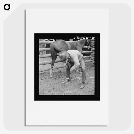 1-57_Marion-Post-Wolcott_picture