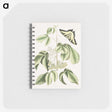 1-57_Mark-Catesby_memo