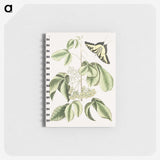 1-57_Mark-Catesby_memo