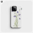 1-57_Mary-Vaux-Walcott_phone