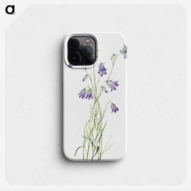 1-57_Mary-Vaux-Walcott_phone