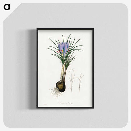 1-57_Medical-Botany_blk-crop