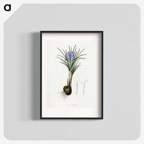 1-57_Medical-Botany_blk