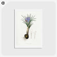 1-57_Medical-Botany_hagaki