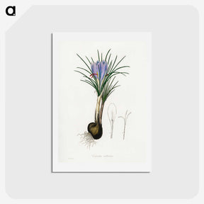 1-57_Medical-Botany_hagaki