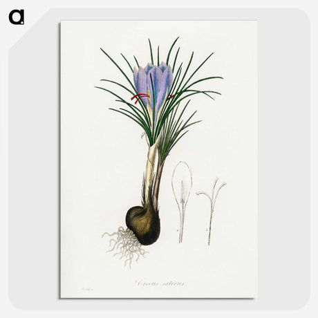 1-57_Medical-Botany_picture-crop