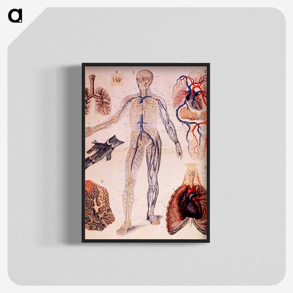 1-57_National-Library-of-Medicine_blk-crop
