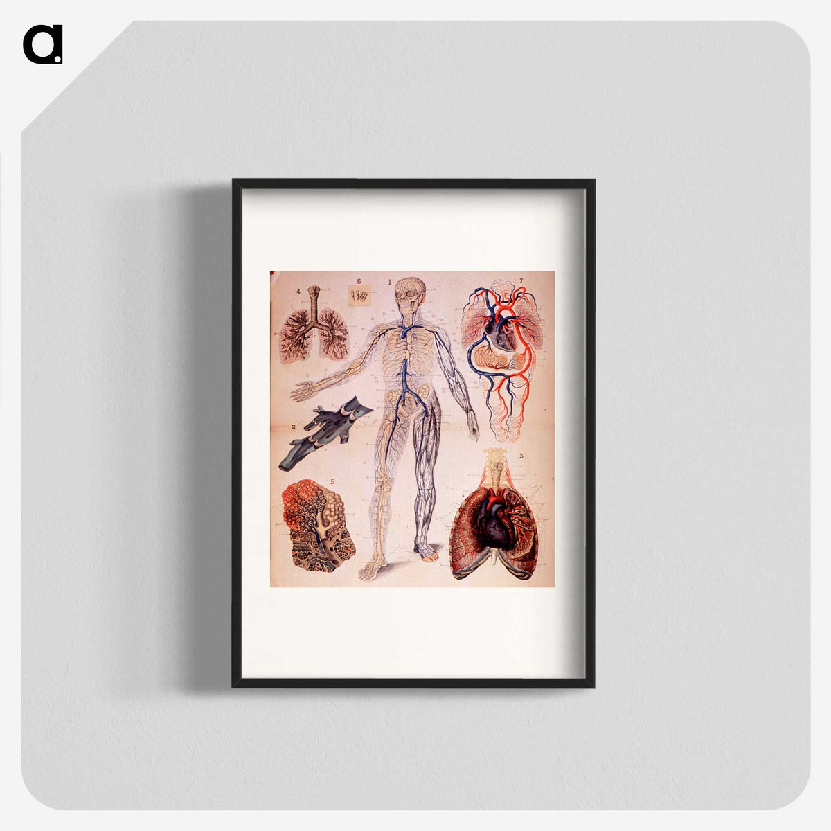 1-57_National-Library-of-Medicine_blk