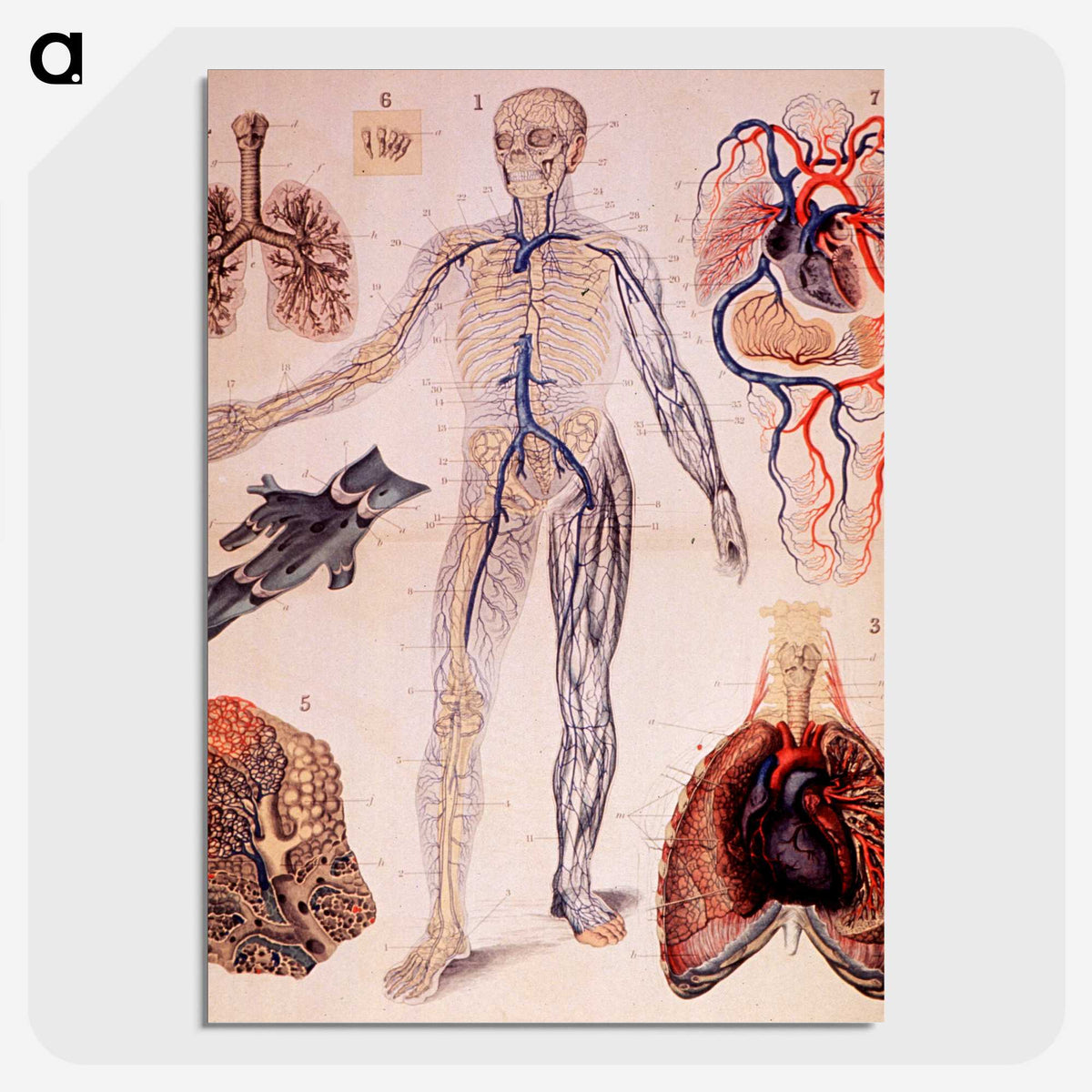 1-57_National-Library-of-Medicine_picture-crop