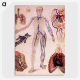 1-57_National-Library-of-Medicine_picture-crop