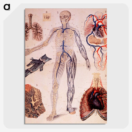 1-57_National-Library-of-Medicine_picture-crop