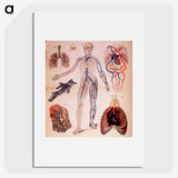 1-57_National-Library-of-Medicine_picture