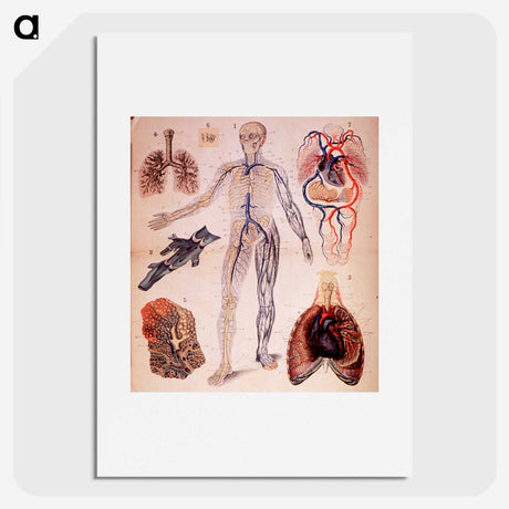 1-57_National-Library-of-Medicine_picture