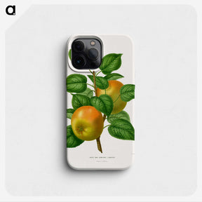1-57_Nederlandsche-Flora-en-Pomona_phone