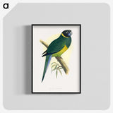 1-57_Parrots-in-Captivity_blk-crop