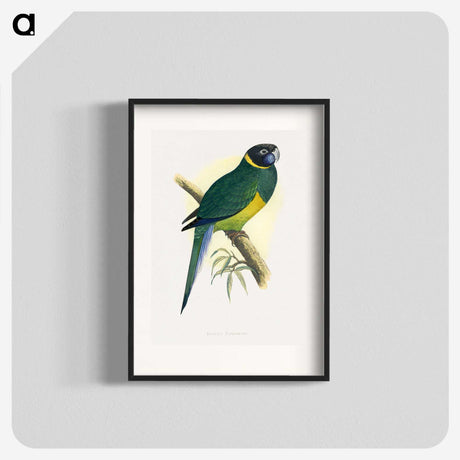 1-57_Parrots-in-Captivity_blk