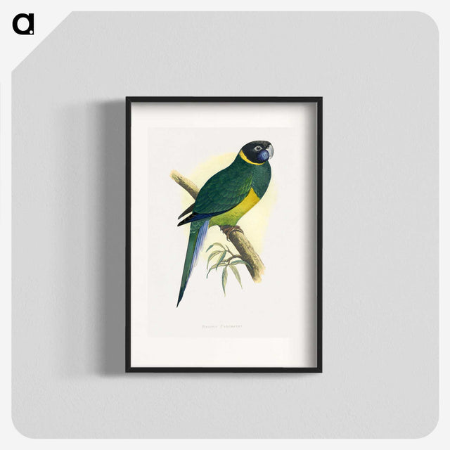1-57_Parrots-in-Captivity_blk